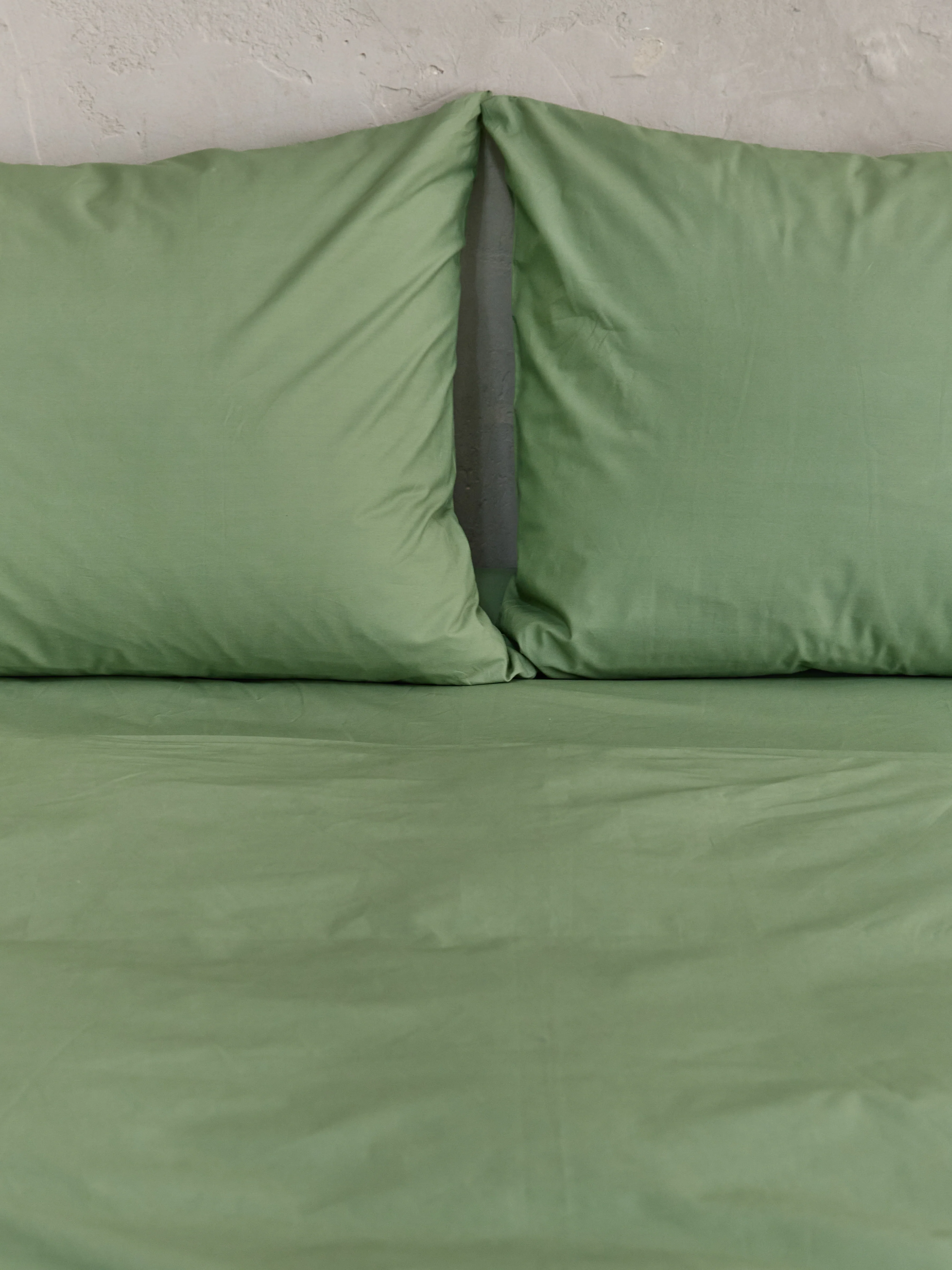 זוג ציפיות פרקל - Image 29