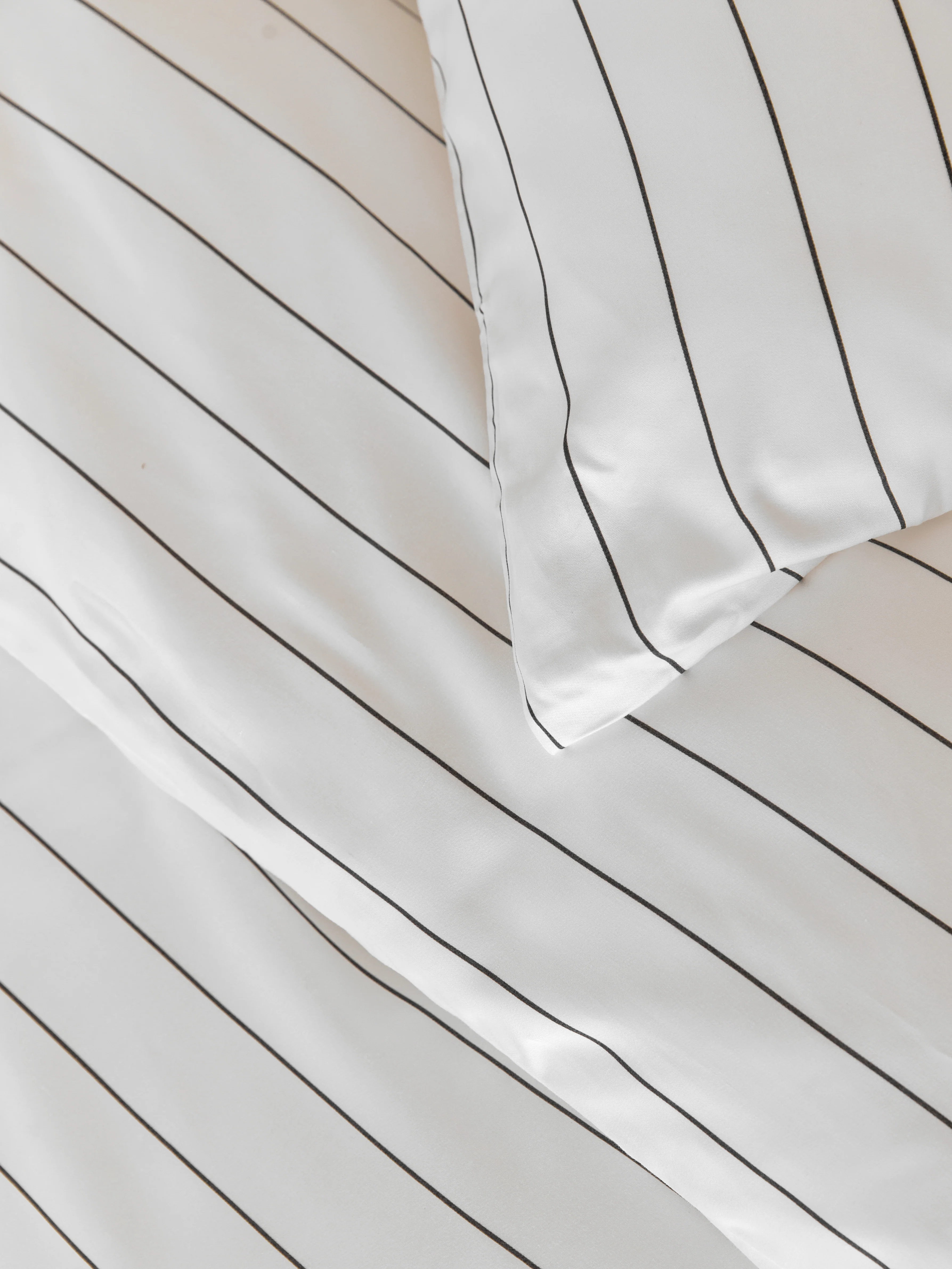 ืกื ืืฆืขื ืืืืืง Black Stripes - Image 5