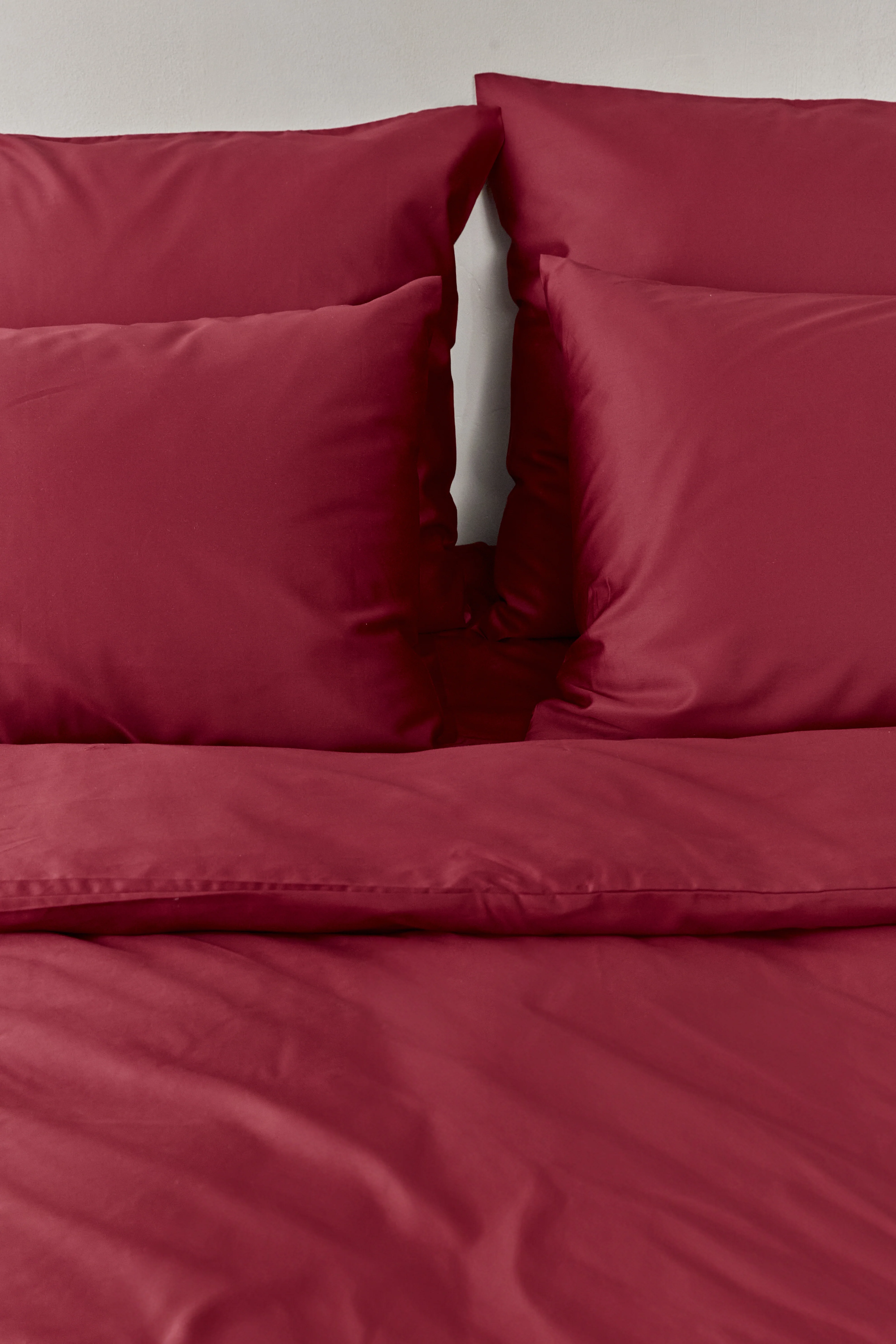 ืกื ืืฆืขื ืกืืื 500 Rio Red - Image 3